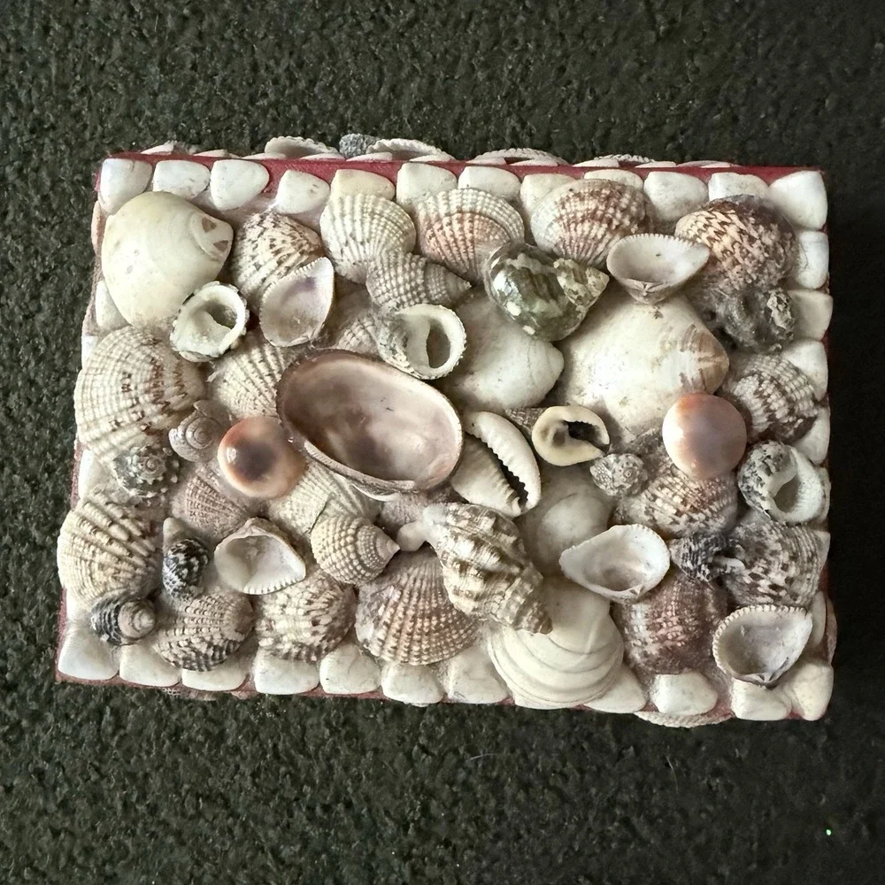Vtg Seashell Jewelry Trinket Box Chest Decor Boho Nautical Handmade 6.5